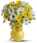 Upsy Daisy Cottage Florist Lakeland Fl 33813 Premium Flowers lakeland